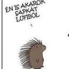 Greg Soul