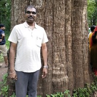 Ramakrishnan Natarajan