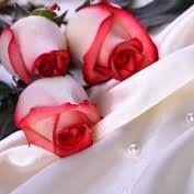 Prasanna Katarla SEO