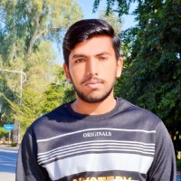 Ali Hamza