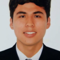 Walter Vicente Gamarra Solorzano