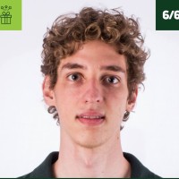 Pedro Henrique Sevenini Silva