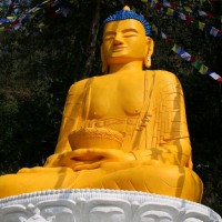 Amar Tamang