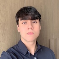 João Victor Silveira Domingues