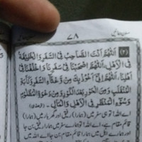 Tariq Naeem