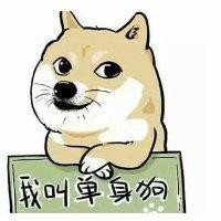 郑亚琦