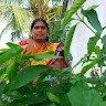 Manju Mallesh