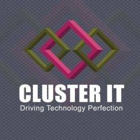 Cluster IT Solutions Pvt Ltd