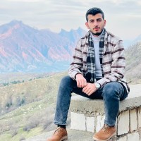 Ali Majid