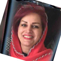 Mrs. Soudabeh Sattarinejad