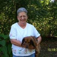 Donna Wilkins