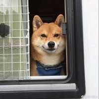 董嘉慧