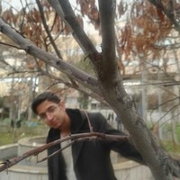 Mojtaba Behnam