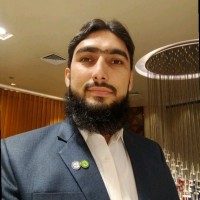 Muhammad Hamid Pharm D, RPh, BCPS, BCIDP