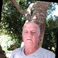 João Bosco Ferreira