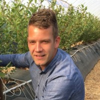 Bart Verheijen