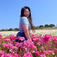 Jacqueline Dinh