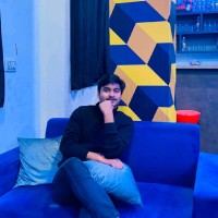 Robin Rajput