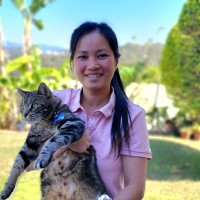 Thuy An Bui