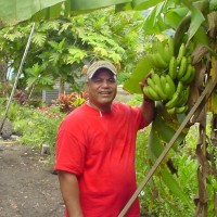 Faiatiga Leuluai