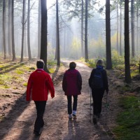 Regisseur Groene Handhaving Utrecht