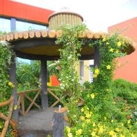 Creation Landscape Designer