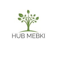 Hub Mebki
