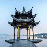 林德树