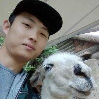 沈成盛