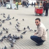 Mohamed Badi