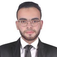 Hesham Salah Taha