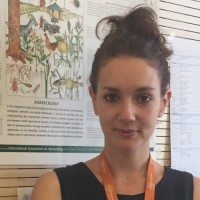 Paola Palestini
