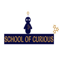 School Of Curious