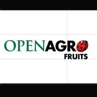 Jorge Martinez Martinez