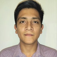 Luis Enrique N. Toro