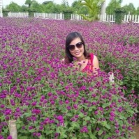 Dao Nguyen Anh