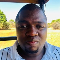 Tshilidzi Mamedzi