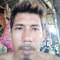 budi anto