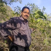 Anil Pandey