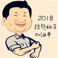 宋毛毛