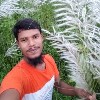 Md Mobassir