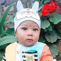 Bijaya Shrestha