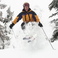 Dale Arsenault
