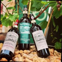 Schuler Vinothek Baden