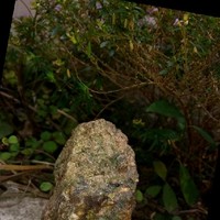 FABIO DE ALMEIDA PRADO