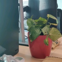 Oneplus Test