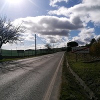 Pedro A.