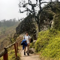 CARLOS JOSE LEVANO VALERIO