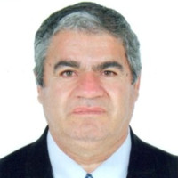 Luis Flores