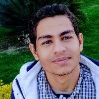 Shokry Nabil Shokry